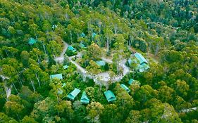 Lemonthyme Wilderness Retreat